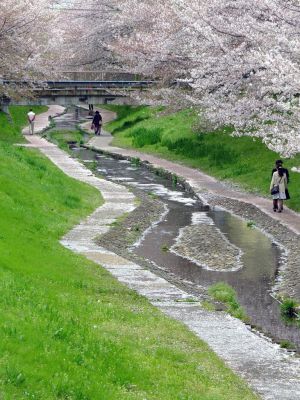 江川せせらぎ緑道
