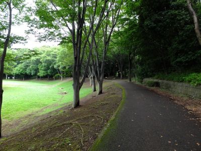 鴨池公園
