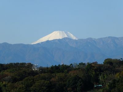 川和市民の森より
