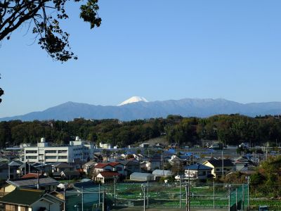川和市民の森より
