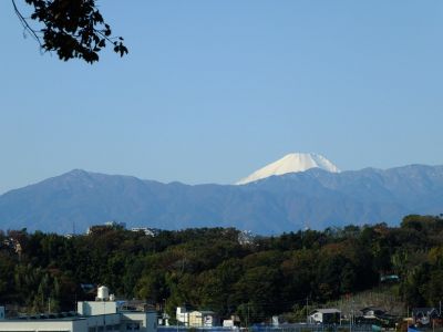 川和市民の森より

