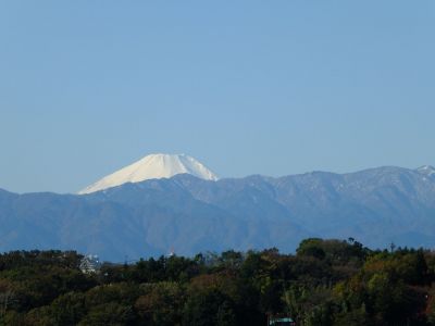 川和市民の森より
