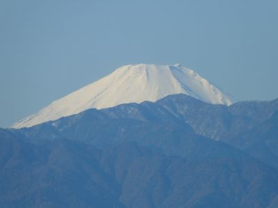 川和市民の森より
