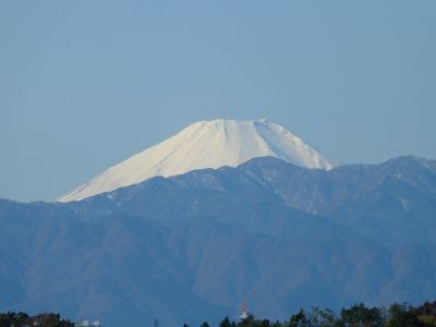 川和市民の森より
