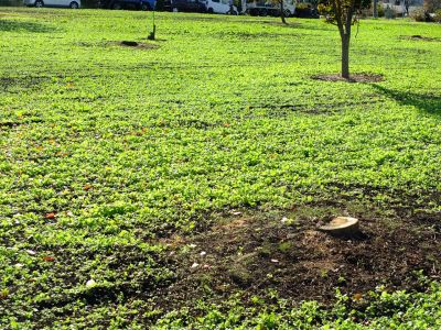 横浜市営地下鉄グリーンライン川和町駅前

