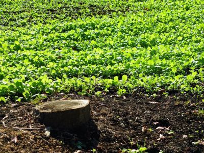 横浜市営地下鉄グリーンライン川和町駅前

