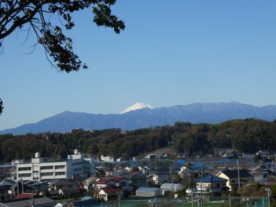 川和市民の森より
