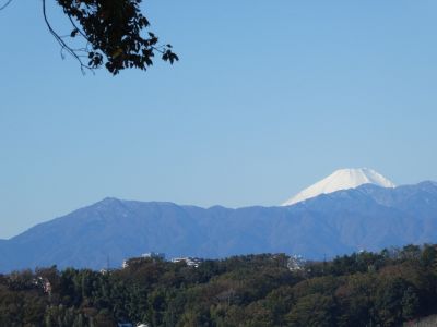 川和市民の森より

