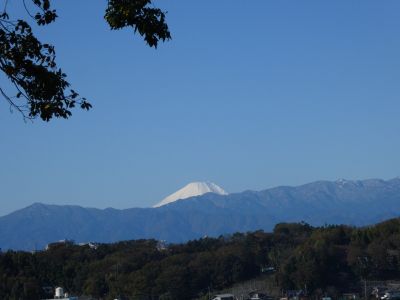 川和市民の森より
