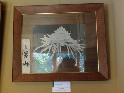 中山恒三郎家（書院）菊男山（明治天皇が好まれたとか）
