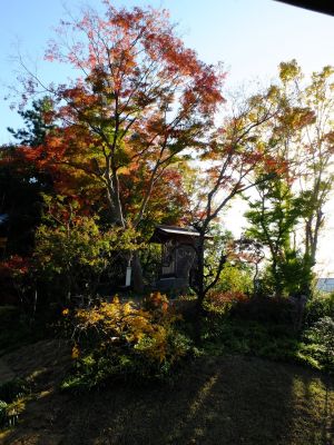 中山恒三郎家（書院）
