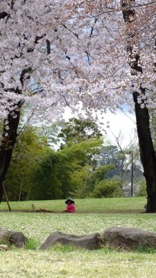 中川八幡山公園
