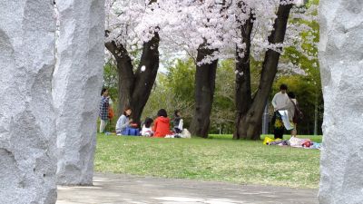 中川八幡山公園
