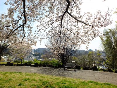 八幡山公園
