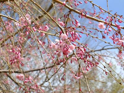 大塚・歳勝土遺跡公園
