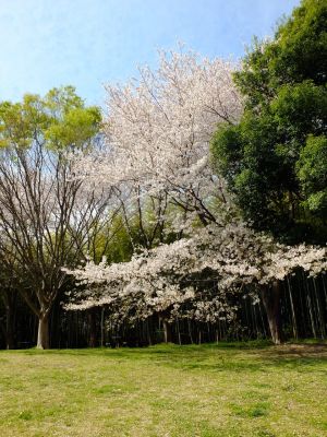 大塚・歳勝土遺跡公園
