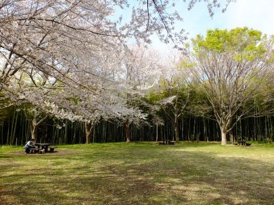 大塚・歳勝土遺跡公園
