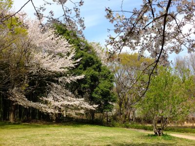 大塚・歳勝土遺跡公園
