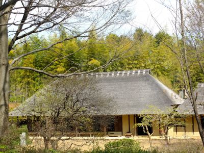 大塚・歳勝土遺跡公園
