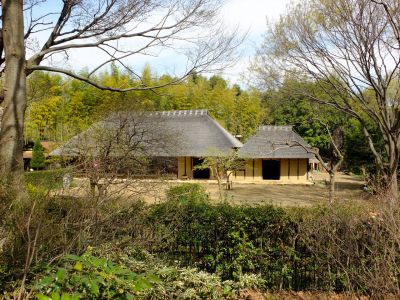 大塚・歳勝土遺跡公園
