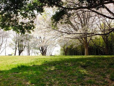 大塚・歳勝土遺跡公園

