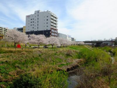 早渕川親水広場
