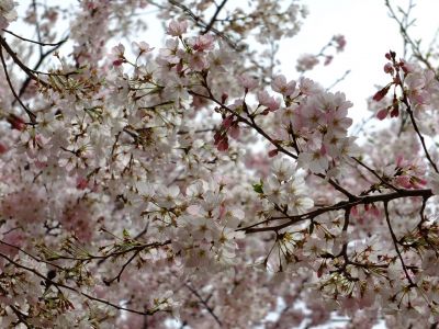 早渕川親水広場
