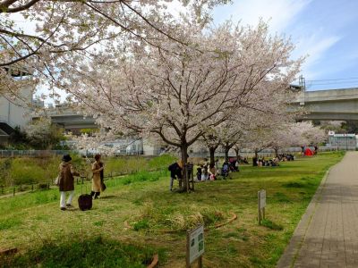 早渕川親水広場
