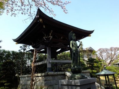 瑞雲寺（染井吉野）
