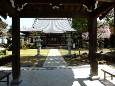 妙蓮寺（枝垂れ桜）
