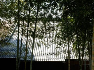 妙蓮寺（たけばやし）
