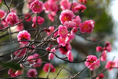 観音寺（東山田）
