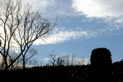 長徳寺(牛久保）
