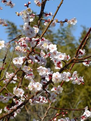鶴見川サイクリングロード
