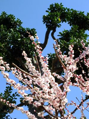 鶴見川サイクリングロード
