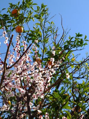 鶴見川サイクリングロード
