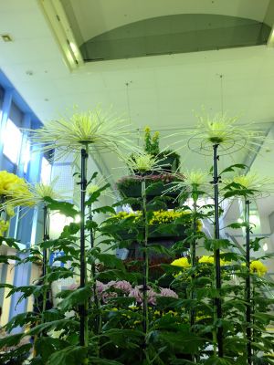 横浜市営地下鉄センター南駅（菊花展）
