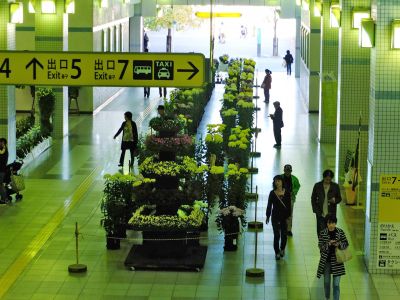 横浜市営地下鉄センター南駅（菊花展）
