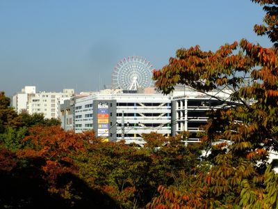 センター北観覧車（都筑中央公園から）
