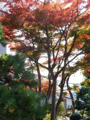 浄土真宗東善寺
