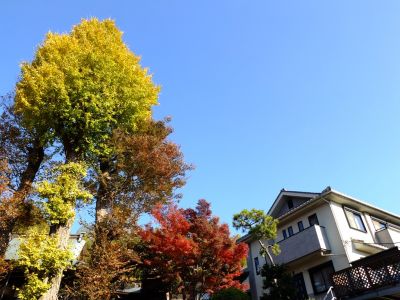 浄土真宗東善寺
