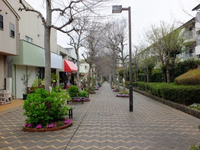 花のある商店街「えだきん」
