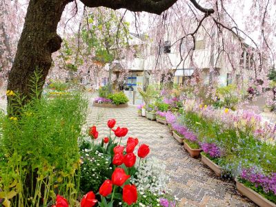 花のある商店街「えだきん」
