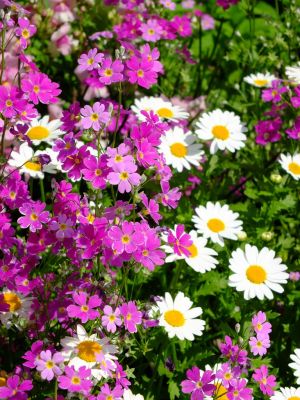 荏田近隣センター
