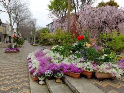 花のある商店街「えだきん」
