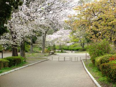 鴨池公園

