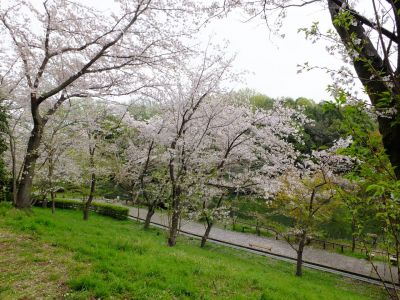 鴨池公園
