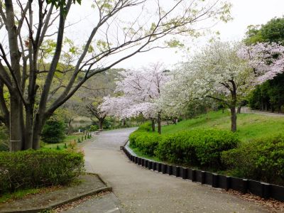 鴨池公園
