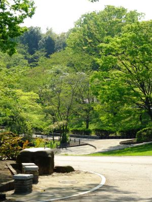 鴨池公園（若葉）
