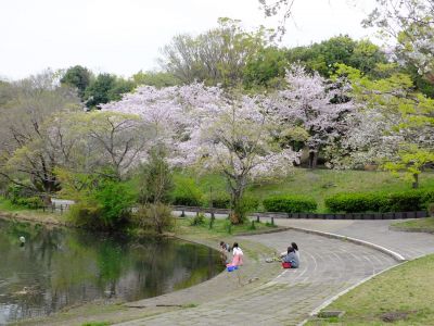 鴨池公園

